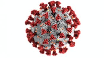 2ème confinement de la Nouvelle-Calédonie : Les mesures relatives à la lutte contre la propagation du coronavirus en Nouvelle-Calédonie